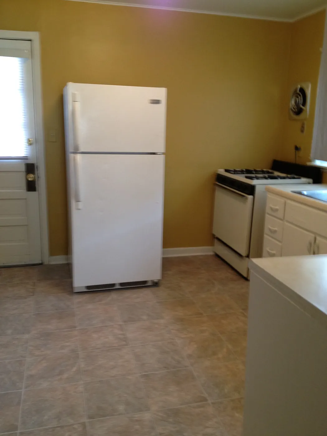 Kitchen with refrigerator and back door