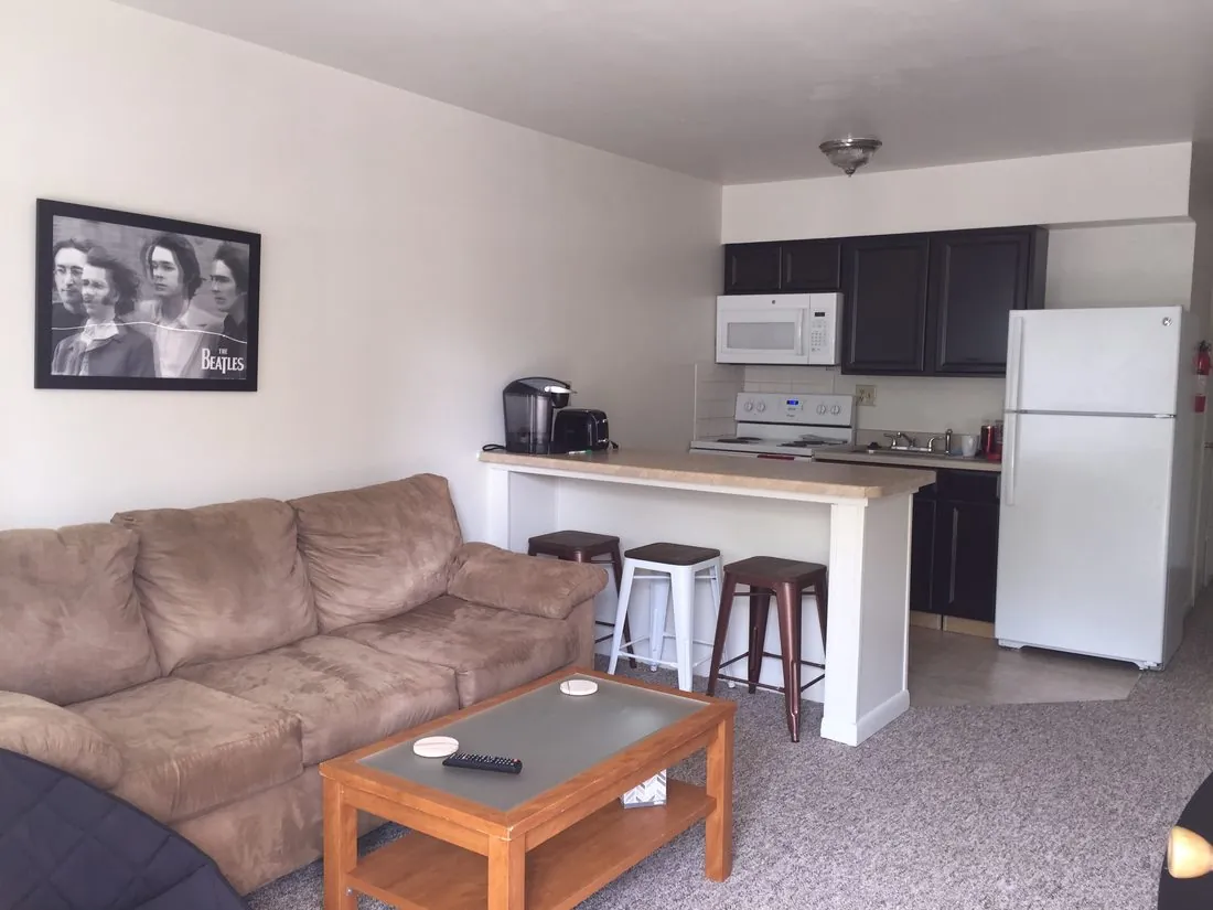 Renovated living room and kitchen at Mulligan Place